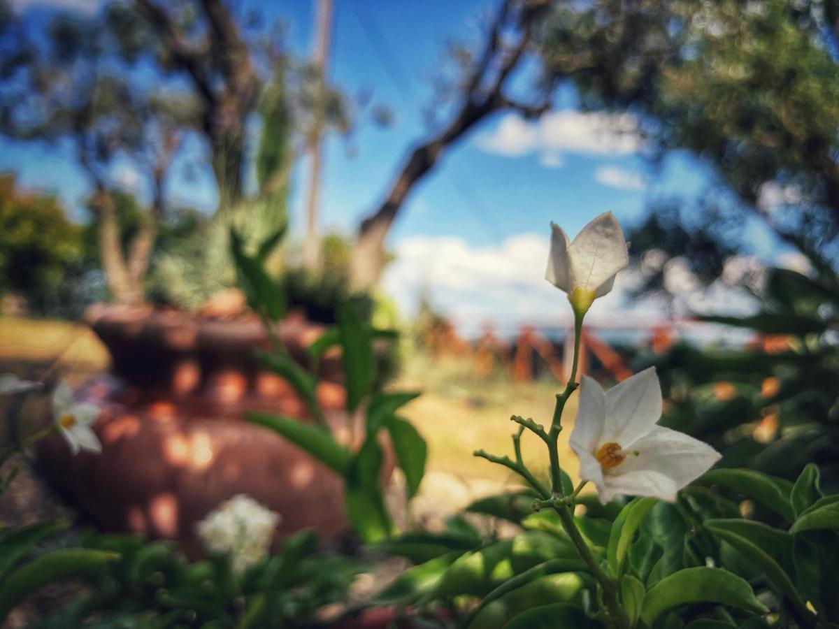 Grove Cottage: Immersed In Nature & Close To Town Città della Pieve Esterno foto
