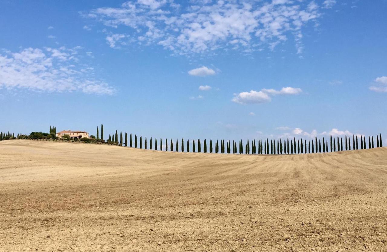 Grove Cottage: Immersed In Nature & Close To Town Città della Pieve Esterno foto