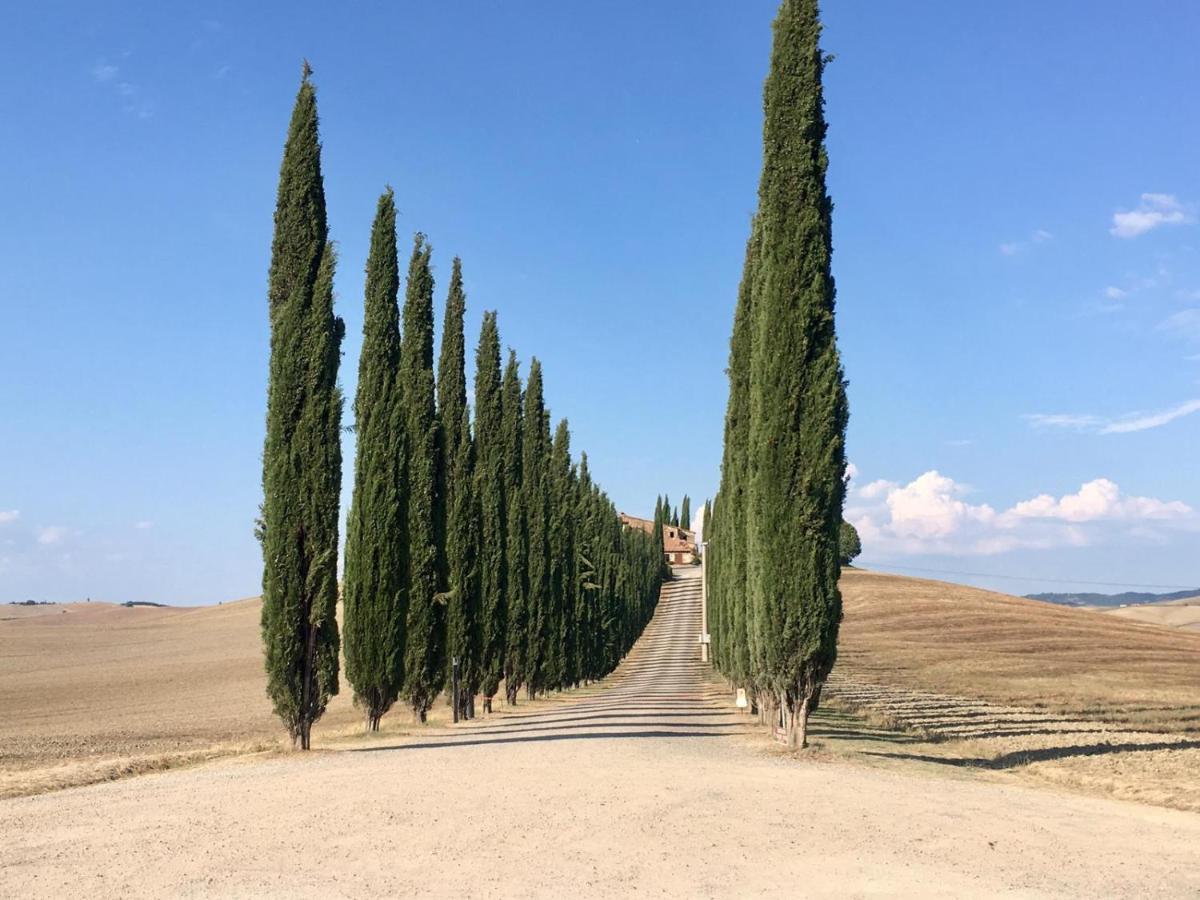 Grove Cottage: Immersed In Nature & Close To Town Città della Pieve Esterno foto