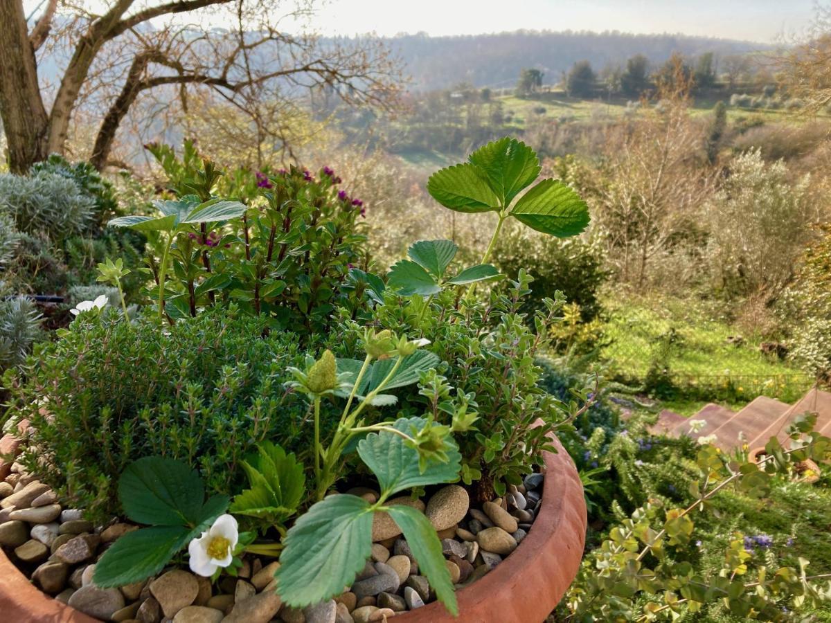 Grove Cottage: Immersed In Nature & Close To Town Città della Pieve Esterno foto