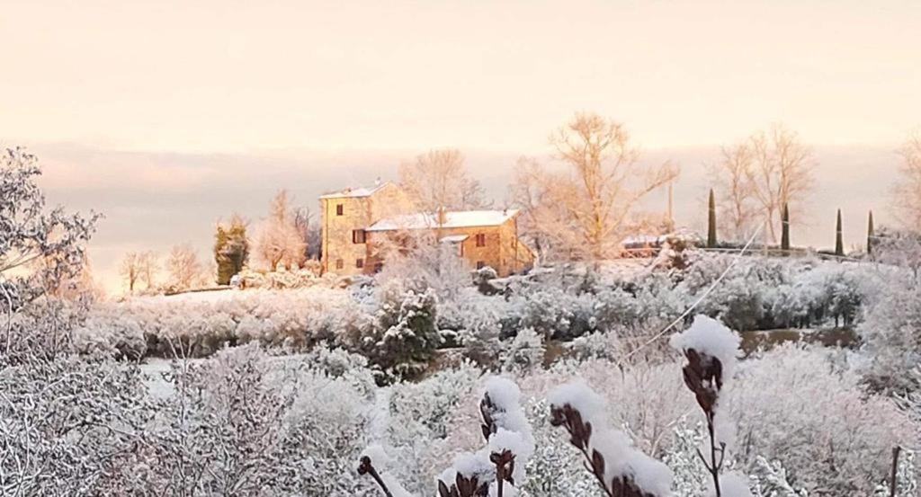 Grove Cottage: Immersed In Nature & Close To Town Città della Pieve Esterno foto