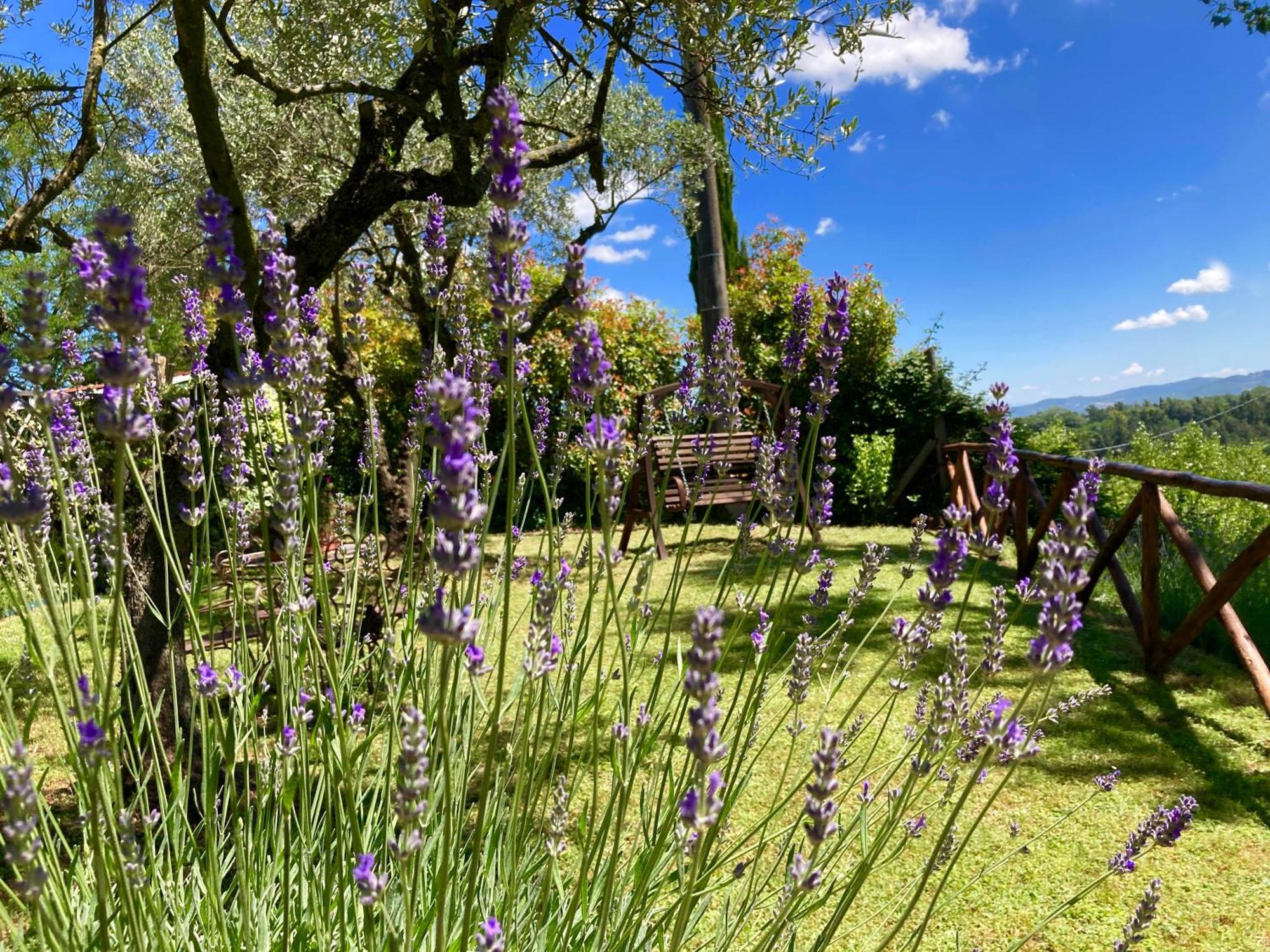 Grove Cottage: Immersed In Nature & Close To Town Città della Pieve Esterno foto